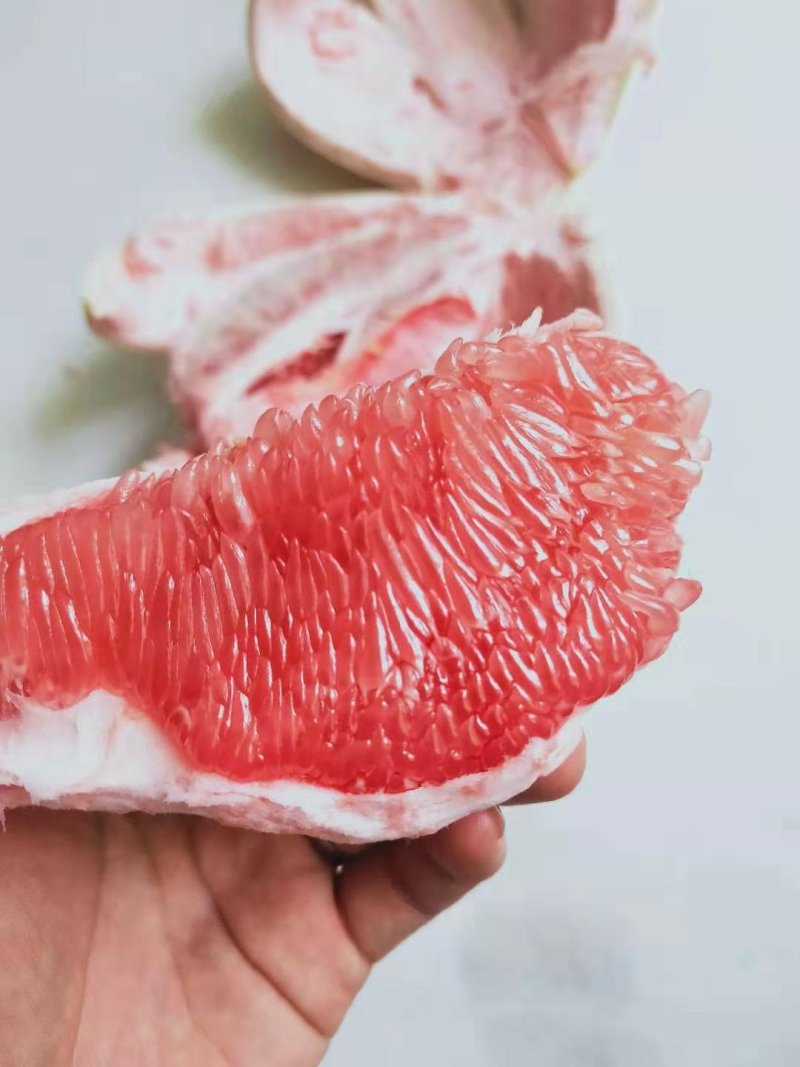 琯溪红心蜜柚
