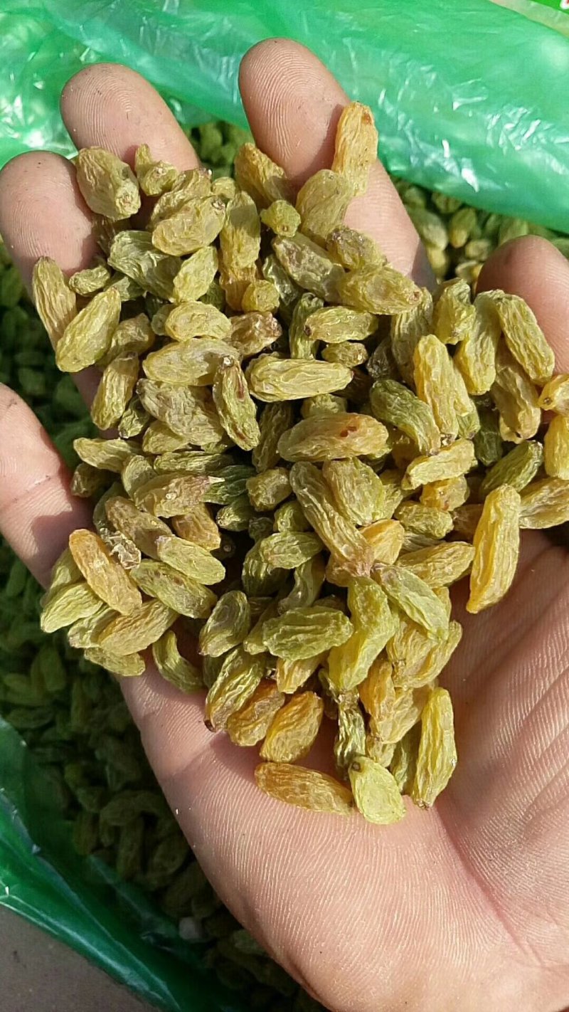 葡萄干无核一级新疆吐鲁番葡萄干