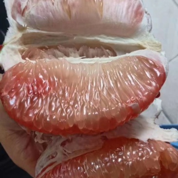 越南青柚