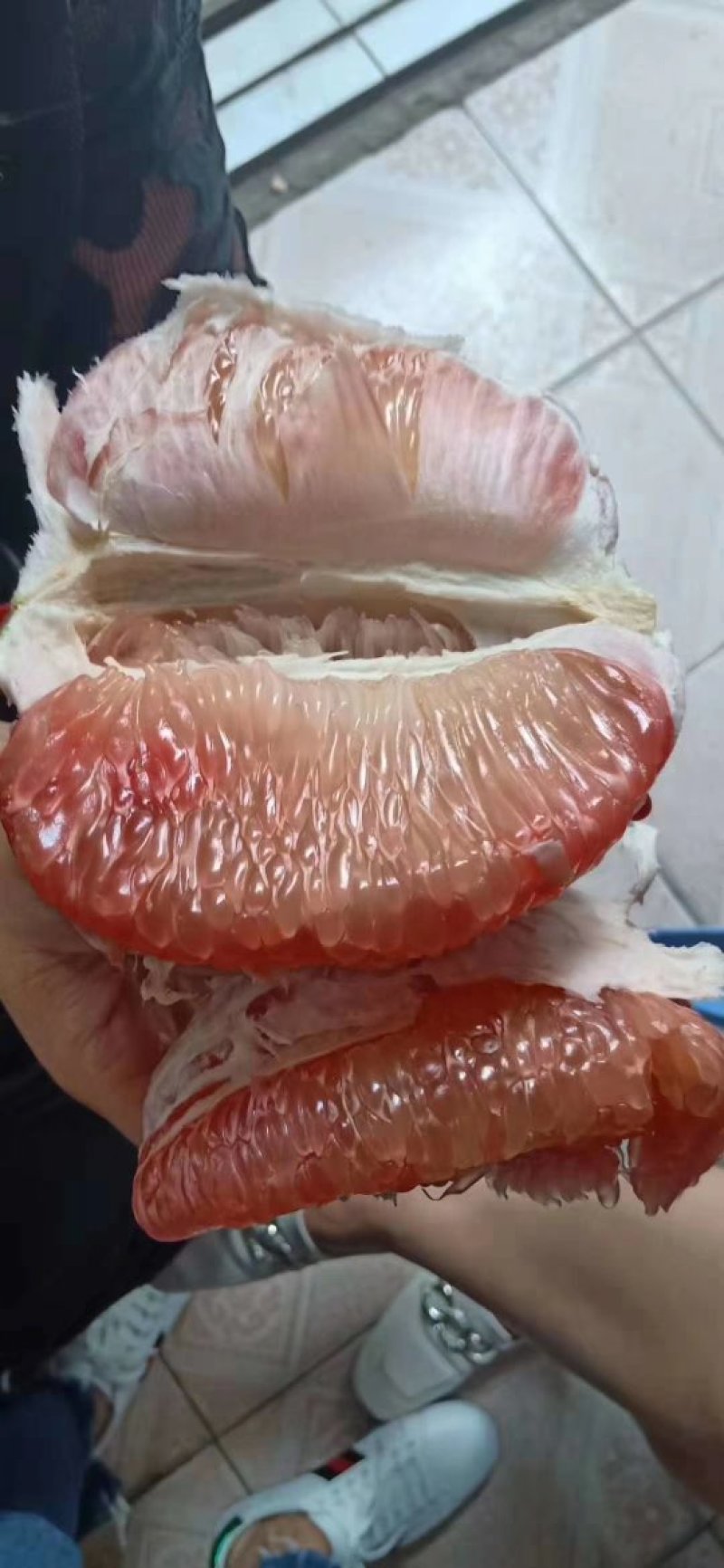 越南青柚