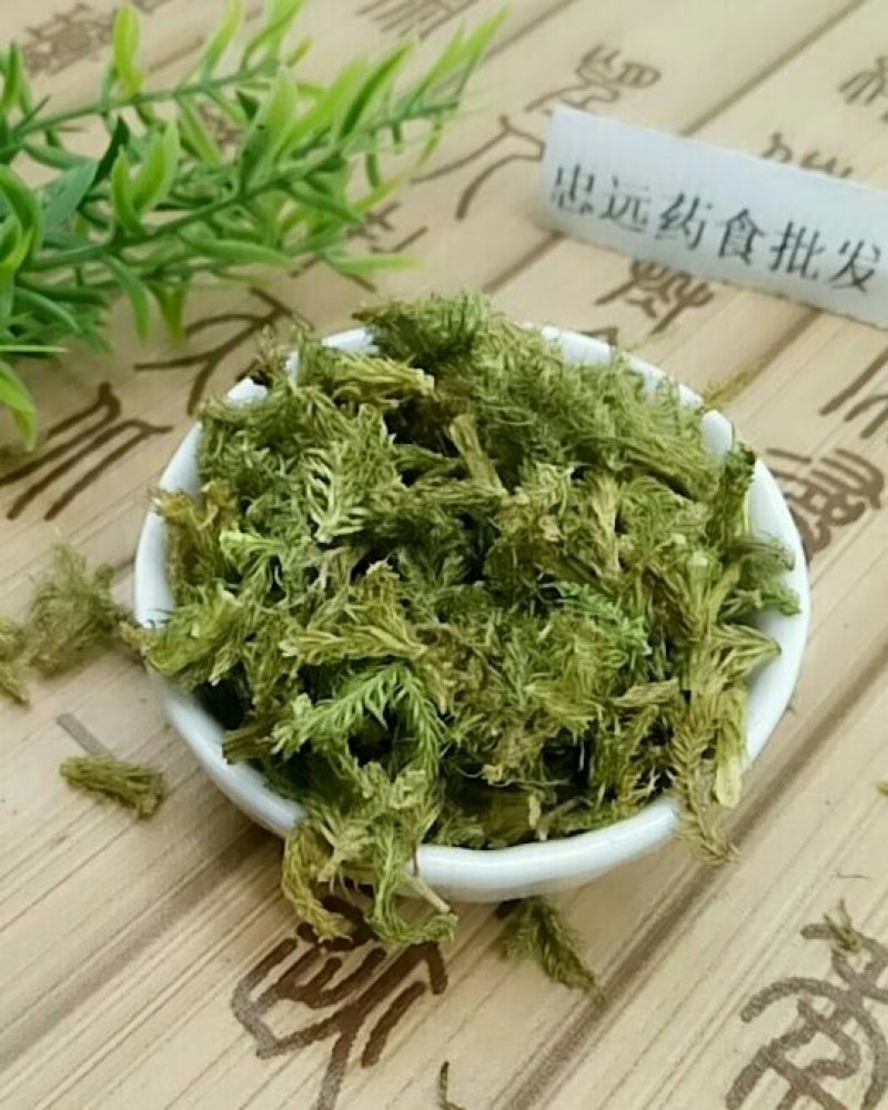 伸筋草千余品种供应承接订单