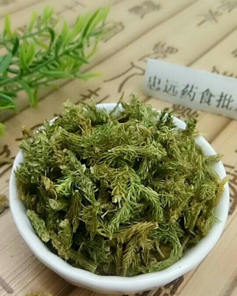 伸筋草千余品种供应承接订单
