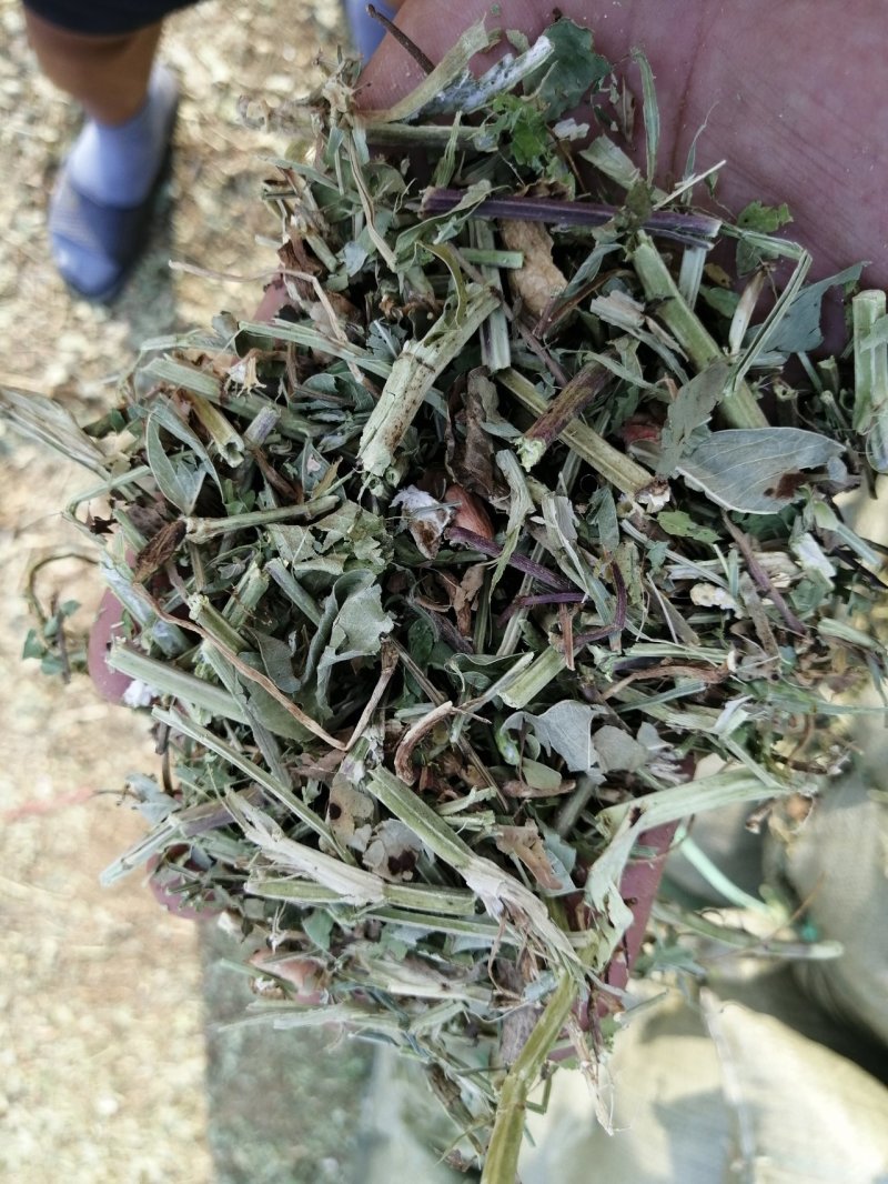 出售2019年新花生秧，无地膜、过滚筒筛，干度合适，