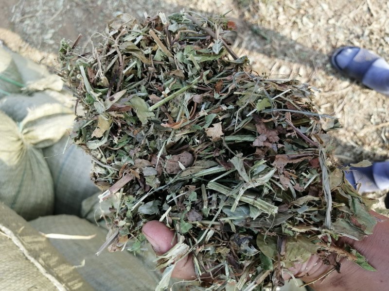 羊饲料—花生秧：，颜色质量以装车前照片为准，