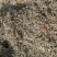 羊饲料—花生秧：，颜色质量以装车前照片为准，