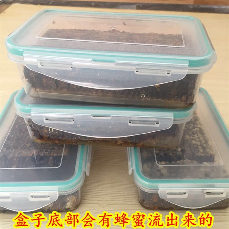 5年老巢蜜天然农家野生蜂巢蜜盒装一斤蜂窝蜜纯正老巢蜜50