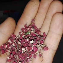 大红袍花椒味麻…种植在高梁上环境好没有污染！