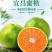 柑橘类湖北宜昌橘子一件代发
