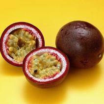 台农紫香黄金百香果5斤净重全国一件送开果器