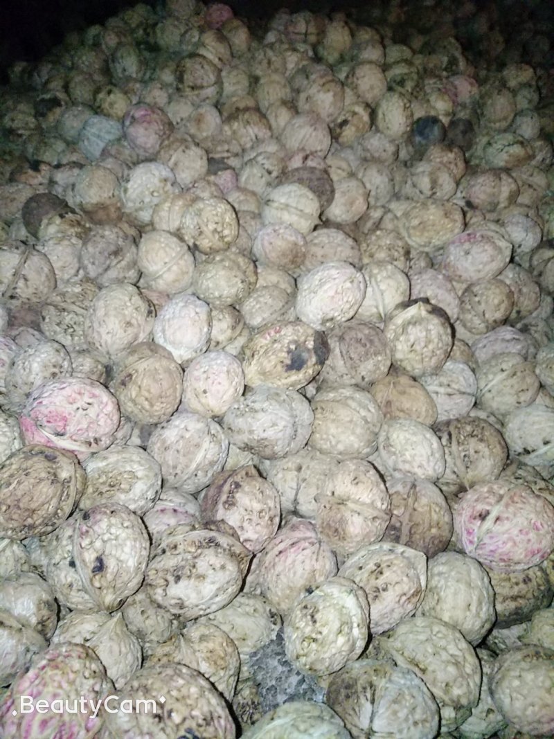 云南南华兔街原生态薄皮核桃味道纯正绿色食品