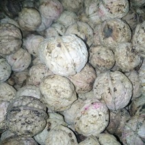 云南南华兔街原生态薄皮核桃味道纯正绿色食品