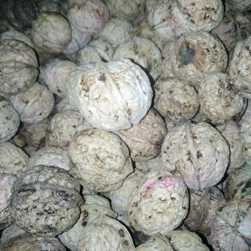 云南南华兔街原生态薄皮核桃味道纯正绿色食品