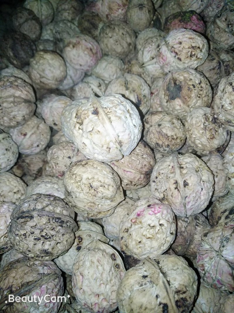 云南南华兔街原生态薄皮核桃味道纯正绿色食品