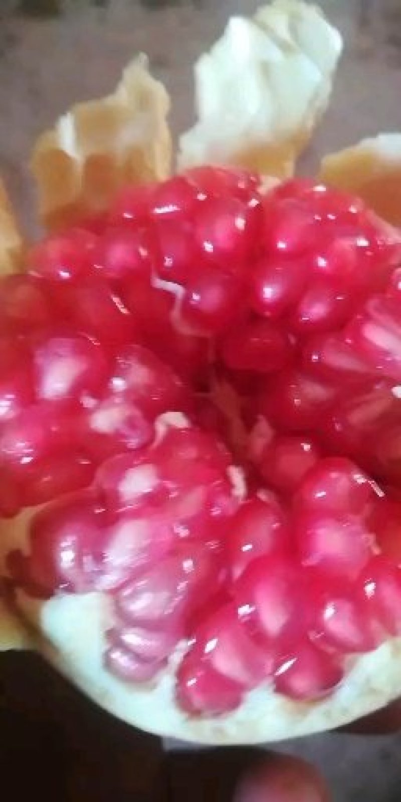 突尼斯软子石榴
