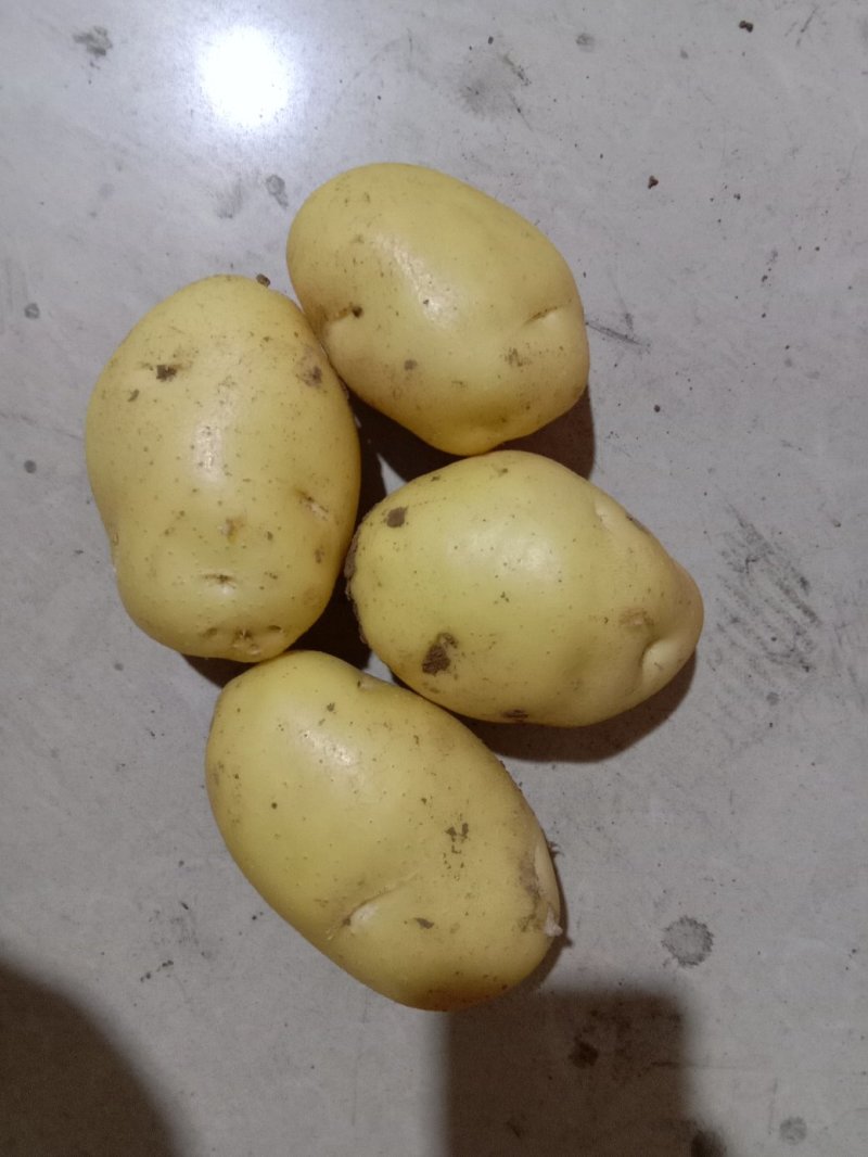 土豆