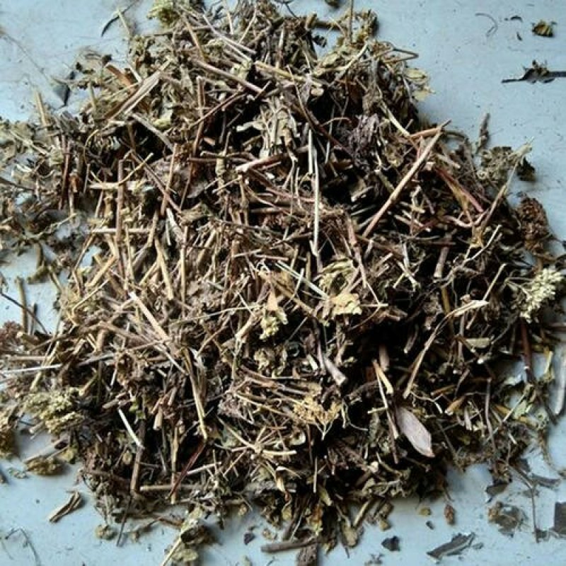土茵陈千余品种供应承接订单