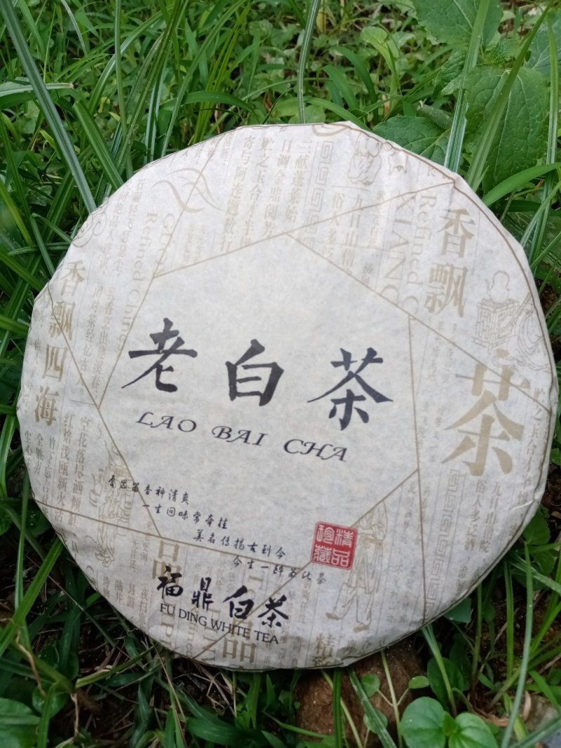 福鼎白茶（三年老白茶）
