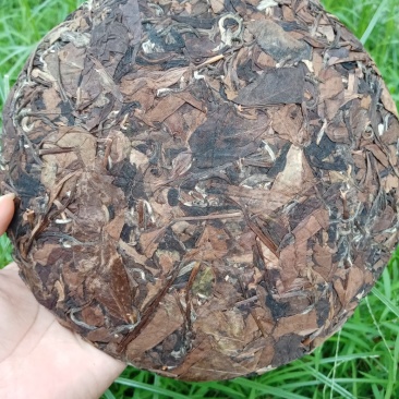 福鼎白茶（三年老白茶）
