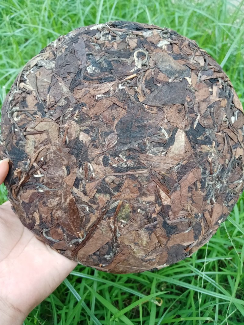 福鼎白茶（三年老白茶）