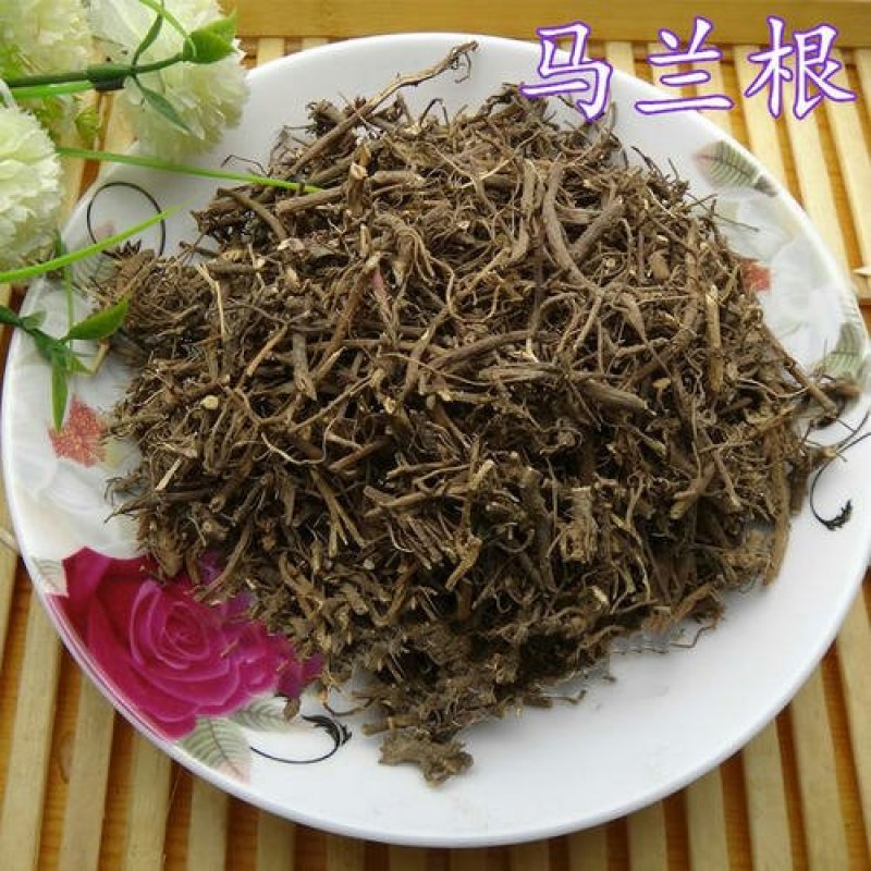 马兰根千余品种供应承接订单