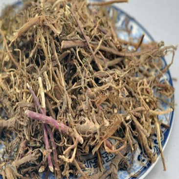马兰根千余品种供应承接订单