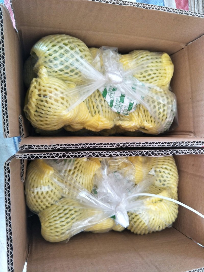 恭城脆柿