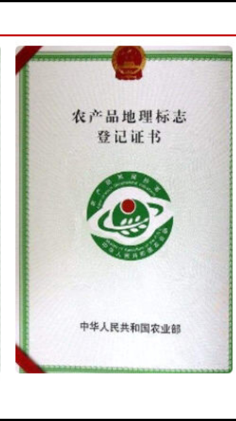 买一送一两只甲鱼农家水塘团鱼自产自销买一送一新鲜包邮