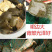 买一送一两只甲鱼农家水塘团鱼自产自销买一送一新鲜包邮