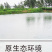 买一送一两只甲鱼农家水塘团鱼自产自销买一送一新鲜包邮