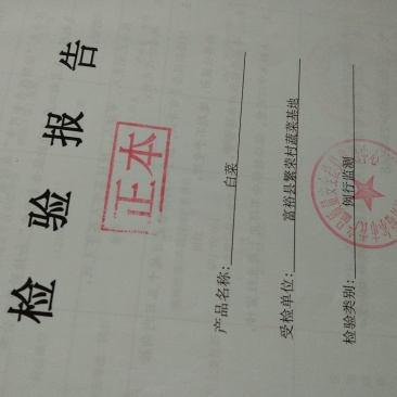 出售大棚茄子