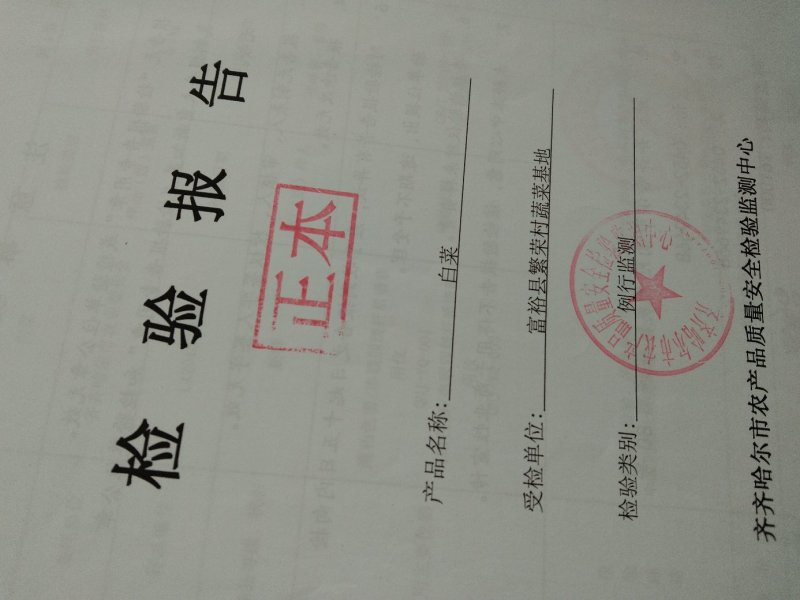 出售大棚茄子