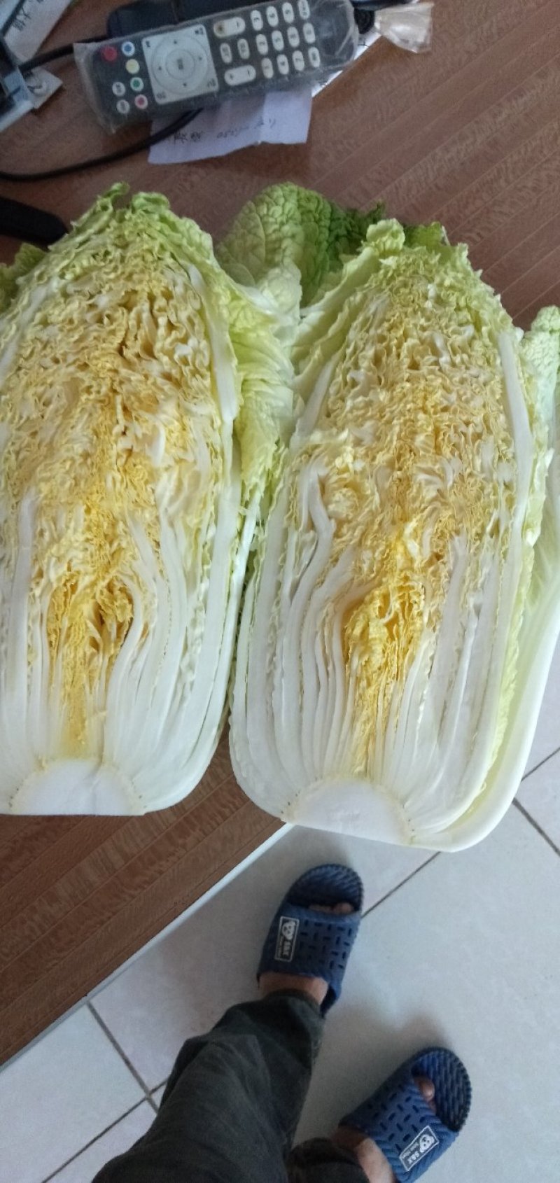 【精品】黄心大白菜3到6斤左右。一手货源净菜矮颗