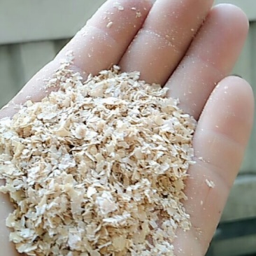香菇专用麸皮