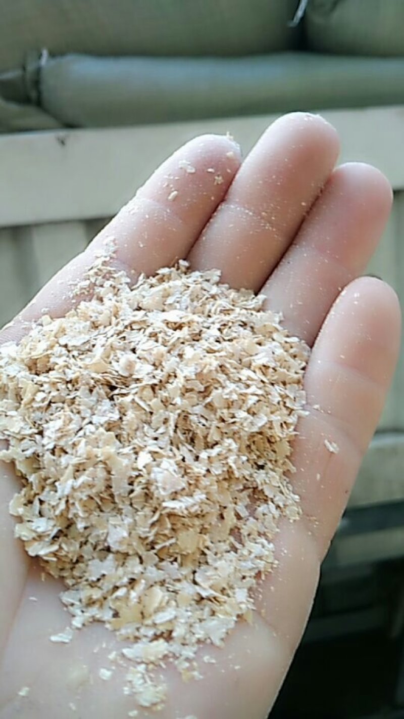 香菇专用麸皮