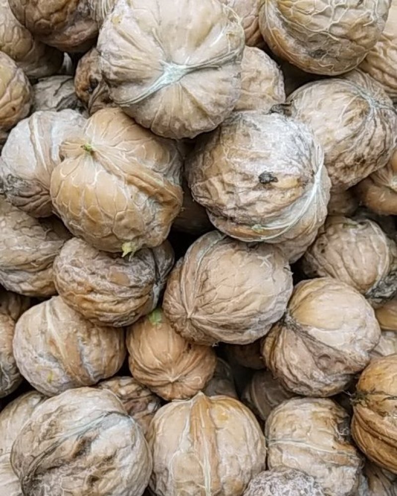新品种干核桃