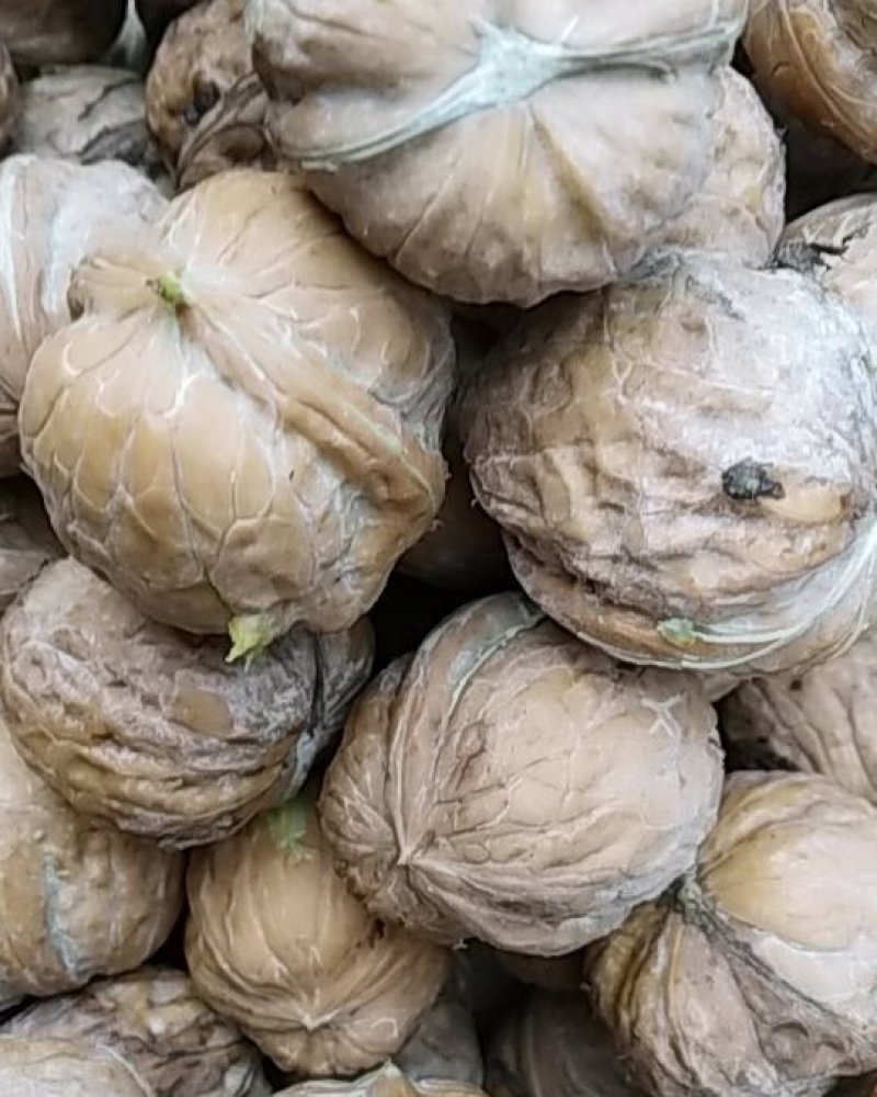 新品种干核桃