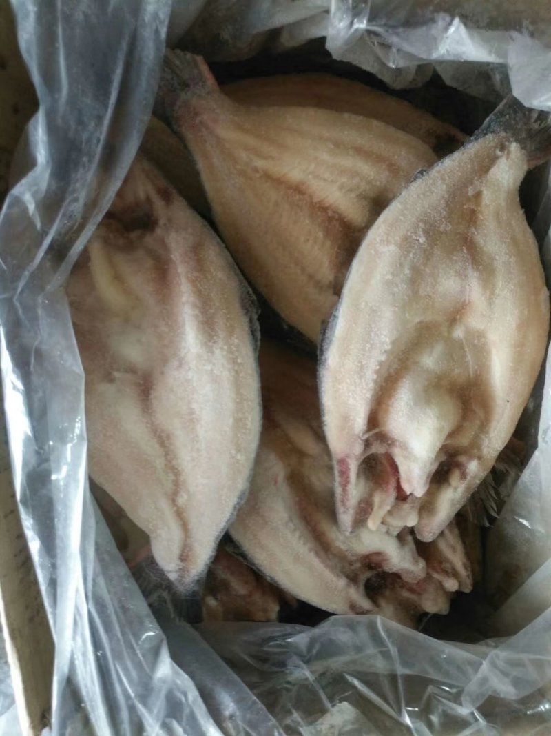 开背巴沙鱼清江鱼6-20条全规格包邮