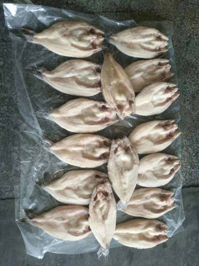 开背巴沙鱼清江鱼6-20条全规格包邮