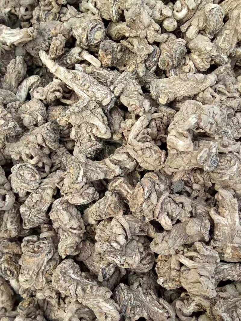 无硫岷当归头，产生于甘肃高寒山区，霜降时节采挖，