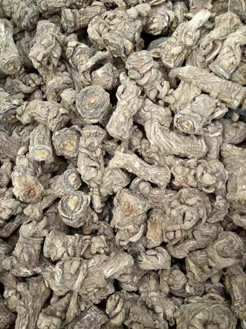 无硫岷当归头，产生于甘肃高寒山区，霜降时节采挖，