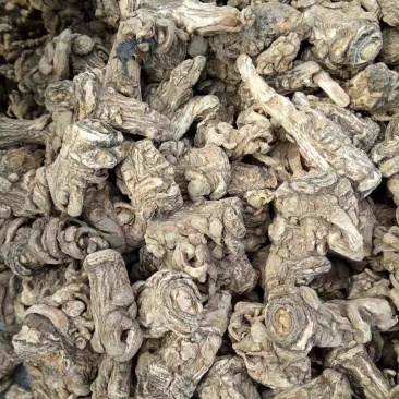 无硫岷当归头，产生于甘肃高寒山区，霜降时节采挖，