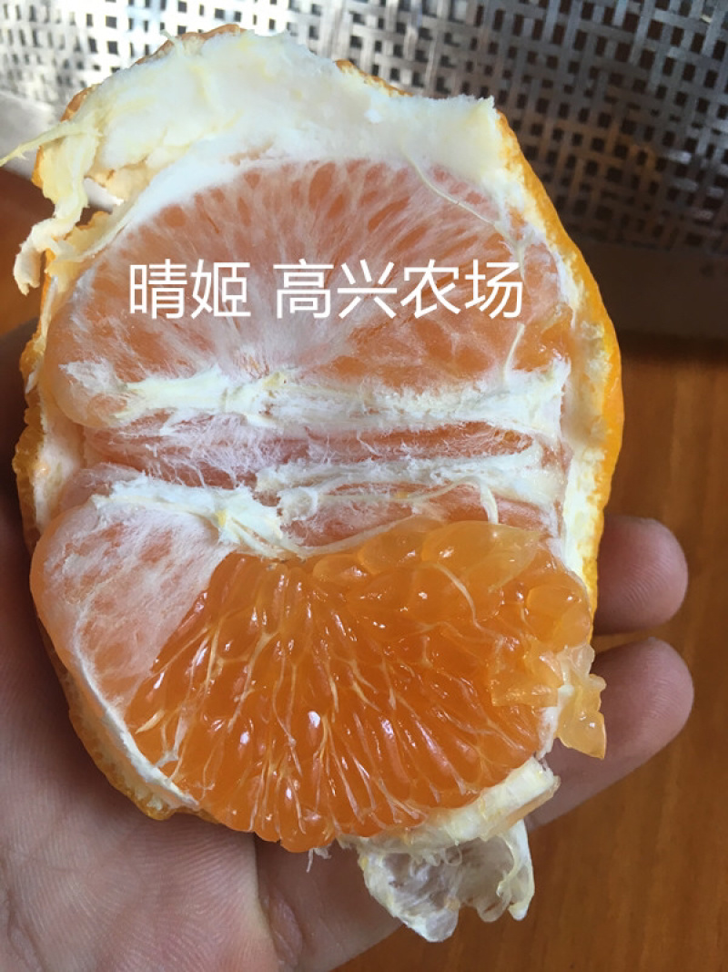 晴姬苗晴姬枝条象山