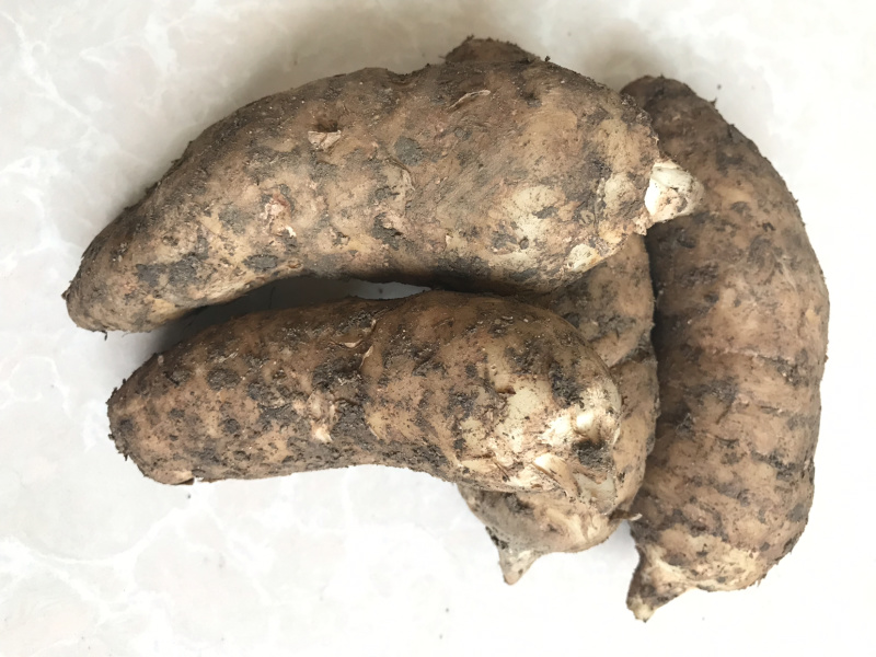 新鲜天麻煲汤炖鸡滋补中药材规格全质量好食补**
