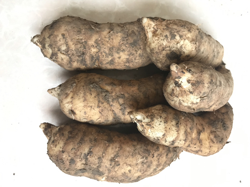 新鲜天麻煲汤炖鸡滋补中药材规格全质量好食补**