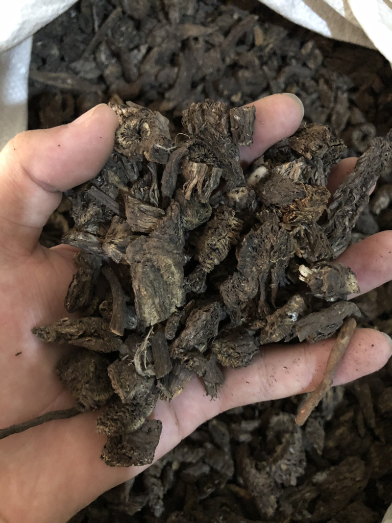 【舜波中药材】漏芦大统片正品