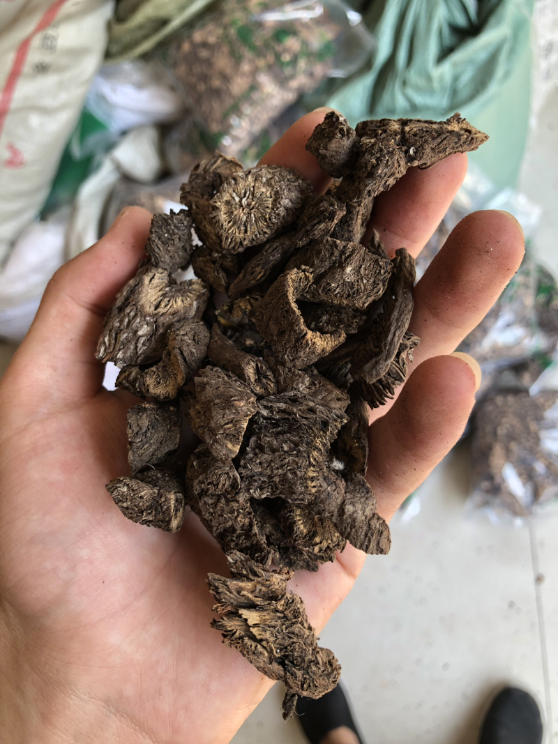 【舜波中药材】漏芦大统片正品