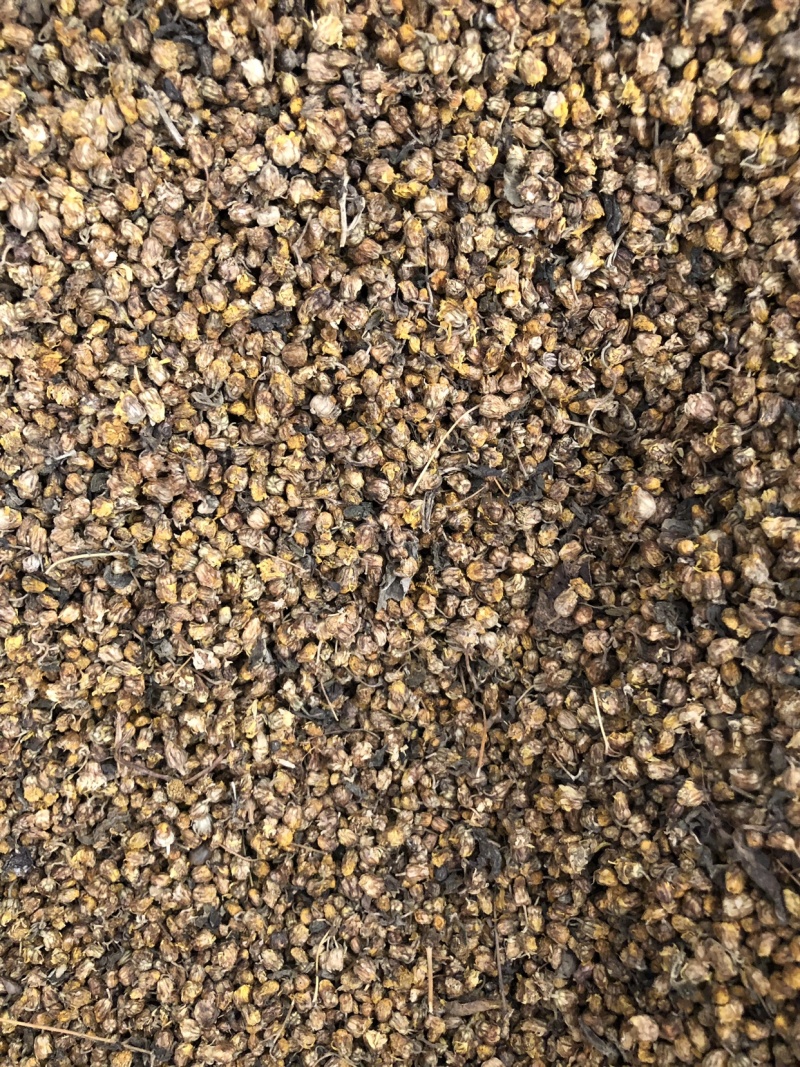 【谷芽】生谷芽炒谷芽量大从优物美价廉产地直供