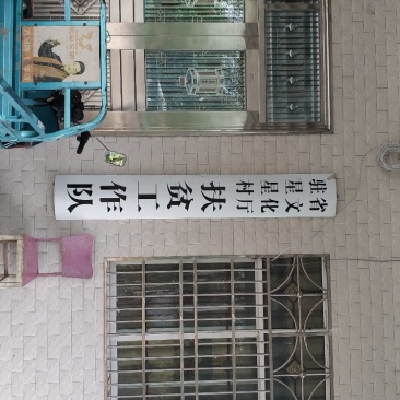 女贞子