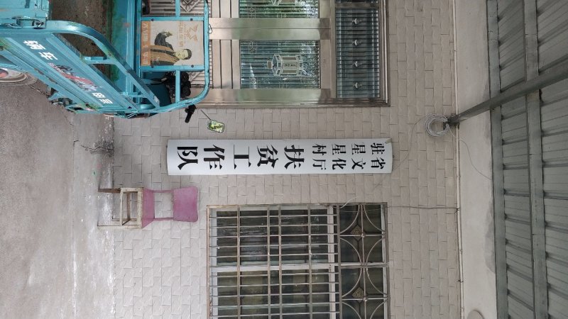 女贞子