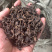 厂家直销，2018年布朗大树357g熟茶饼